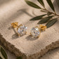 10k yellow gold 5mm round lab diamond stud earrings on natural stone surface with green leaf