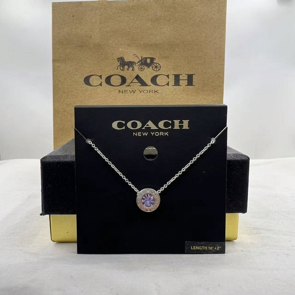 A Coach New York necklace displayed on a black branded card, with the gold-tone chain draped around the card and a round pendant featuring a purple center stone. A brown Coach New York paper bag stands behind the display on a white surface.