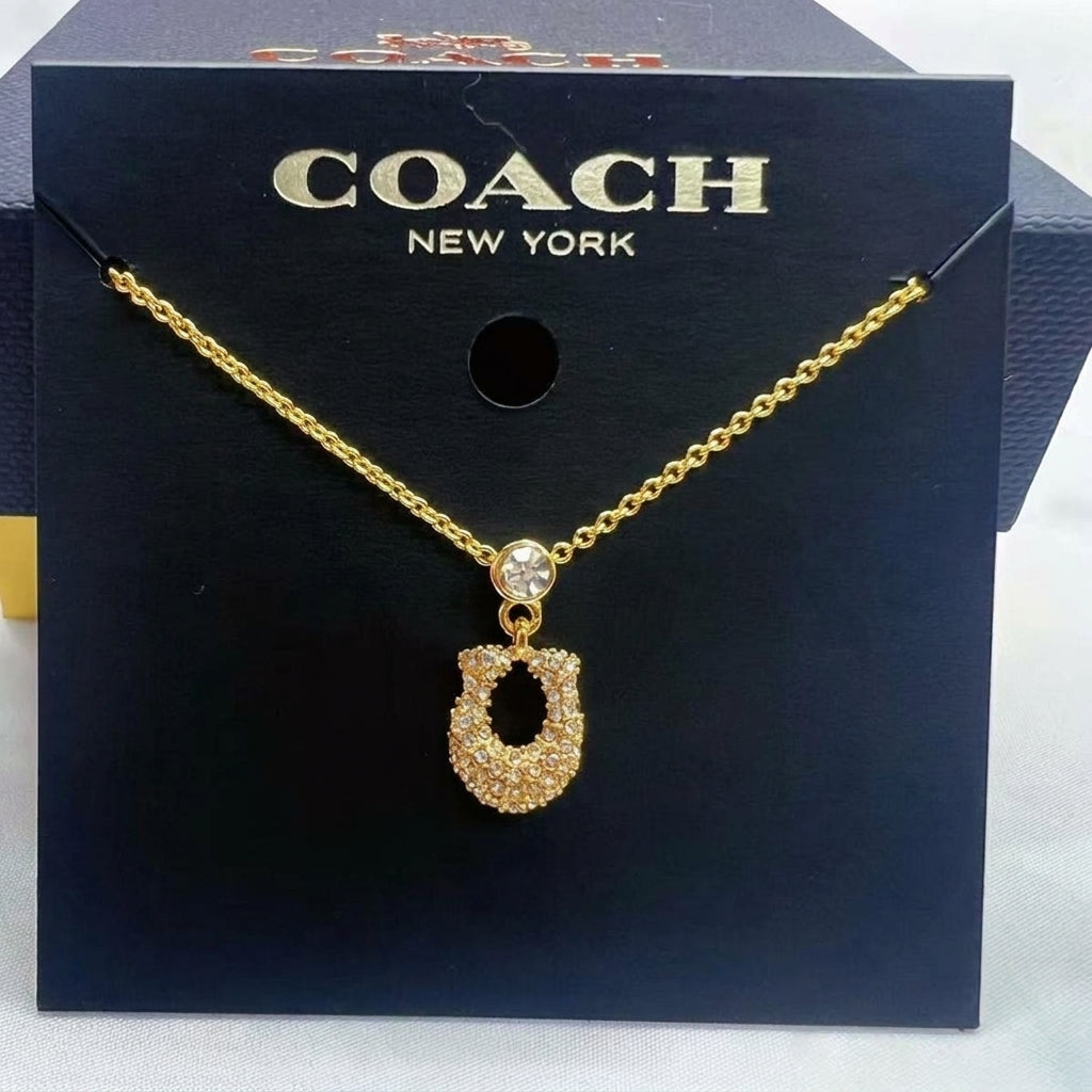 A gold horseshoe-shaped pendant necklace with a clear crystal center, displayed on a black Coach New York branded card.