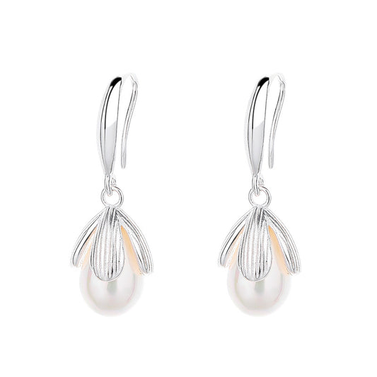 Pair of silver earrings with a white background